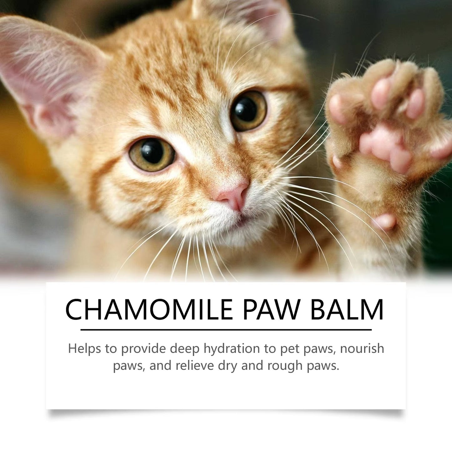 Natural Pet Paw Balm