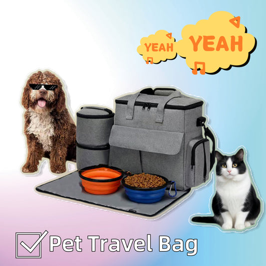 Large-Capacity Pet Backpack