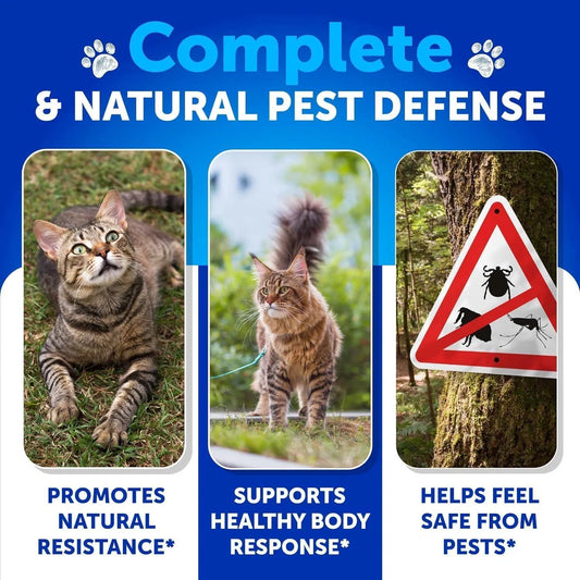 Cat Chewable Flea Treatment & Multivitamin