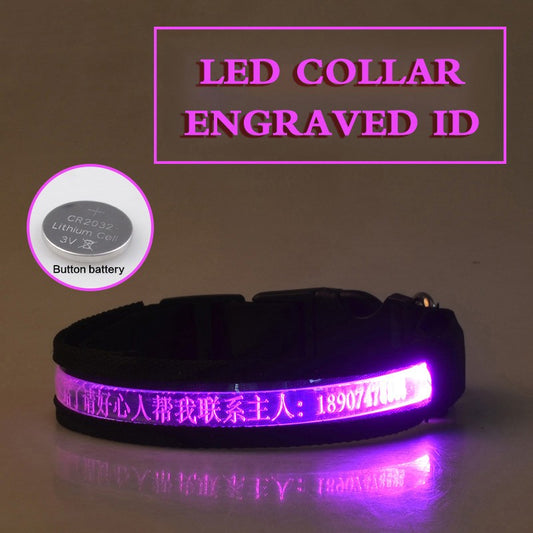 Personalized Pet Glow Collar