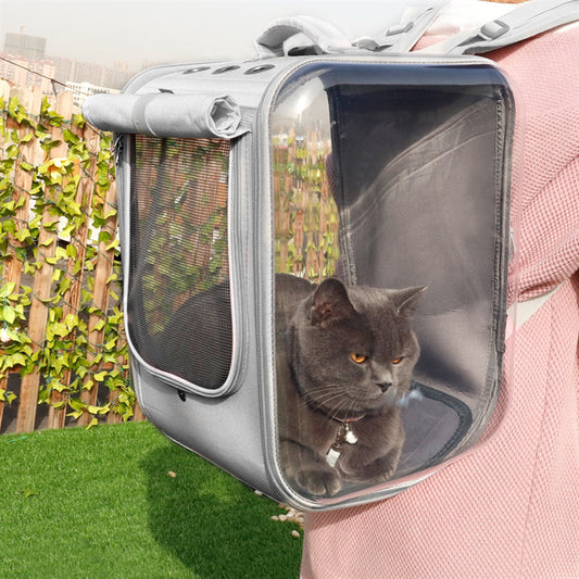 Small Pet Breathable Backpack