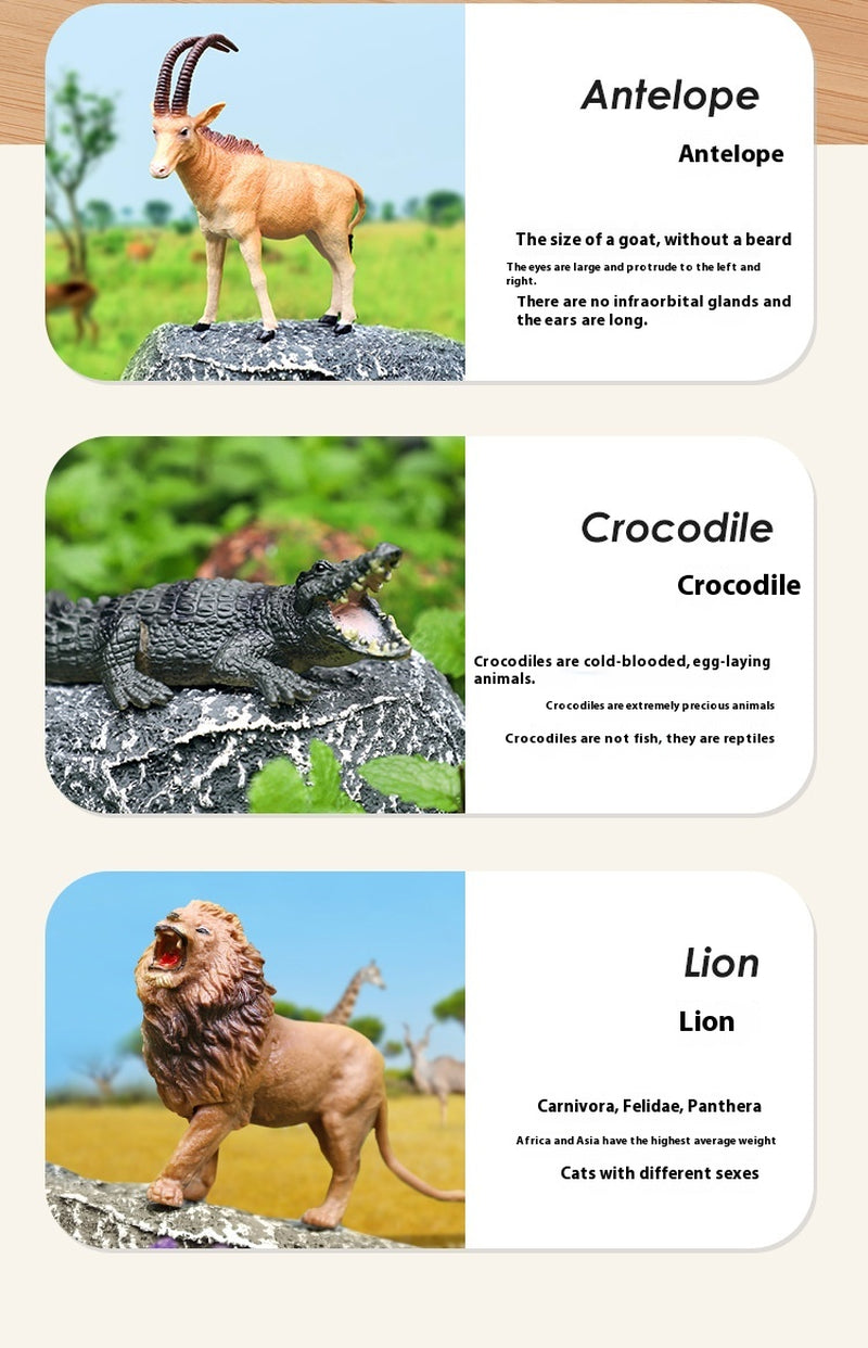 Educational Farm Animal Children'S Early Education