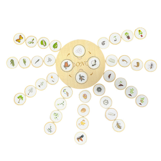 Children'S Cognitive Enlightenment Insect Animal Life Growth Cycle Educational Toys