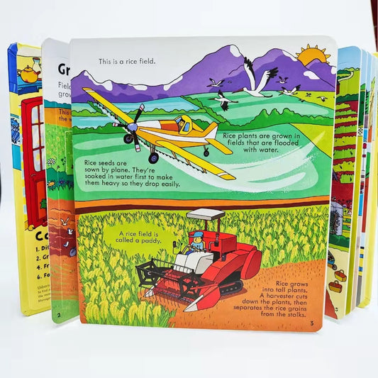 Children's Early Education Picture Books