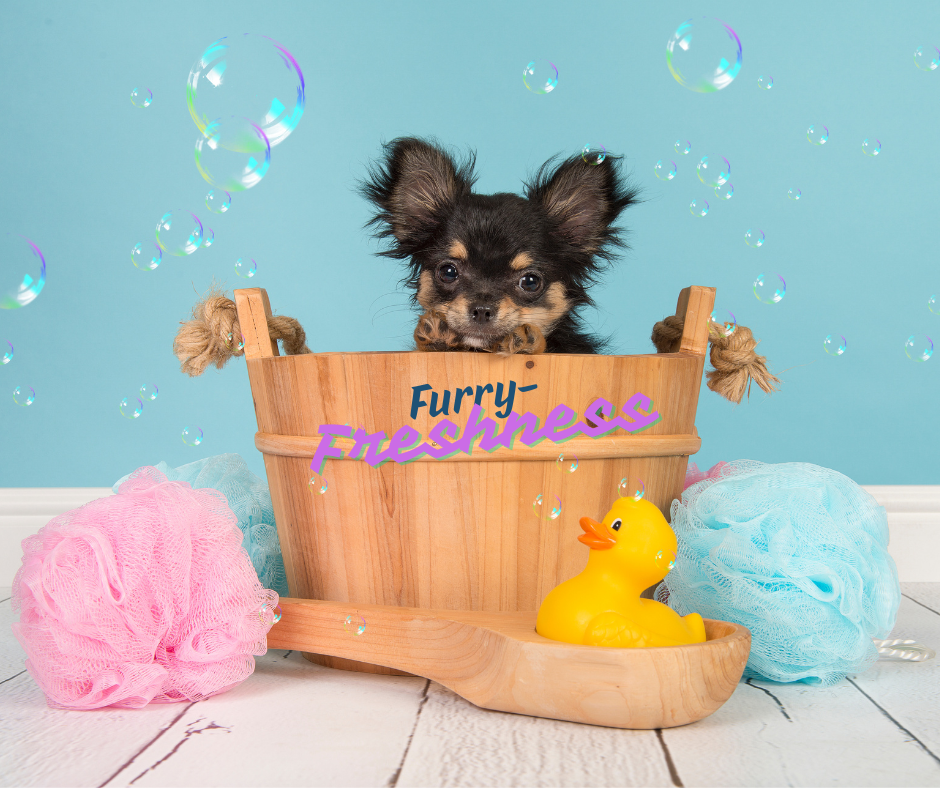 Furry Freshness Collection