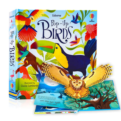 Usborne Pop-Up 3D Picture Book 