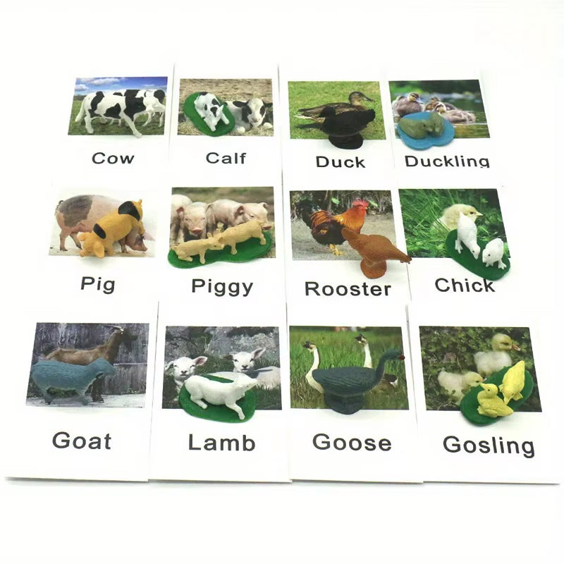 Montessori Animal Matching Card