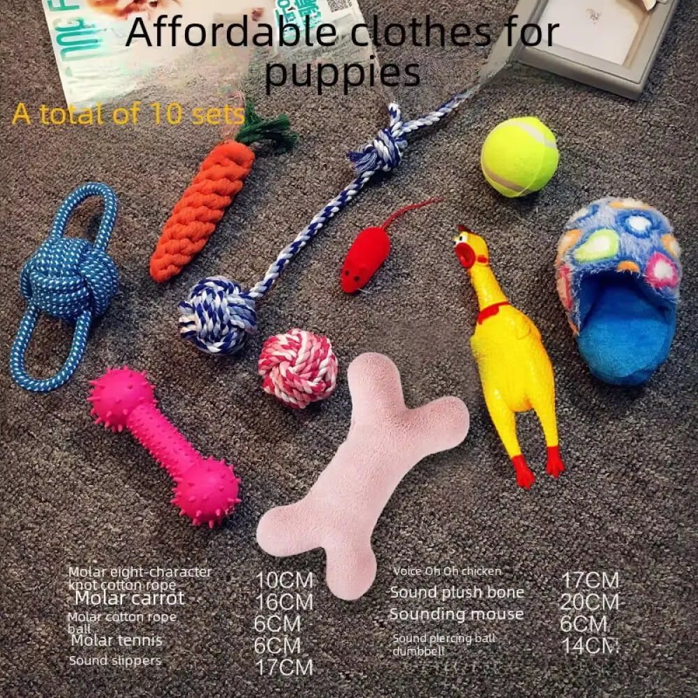 Plush Pet  Play Kit