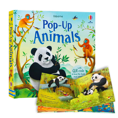 Usborne Pop-Up 3D Picture Book 