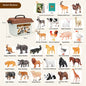 Educational Farm Animal Children'S Early Education