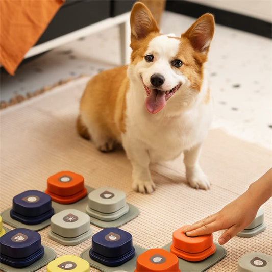  One-Click Pet Communication Button 