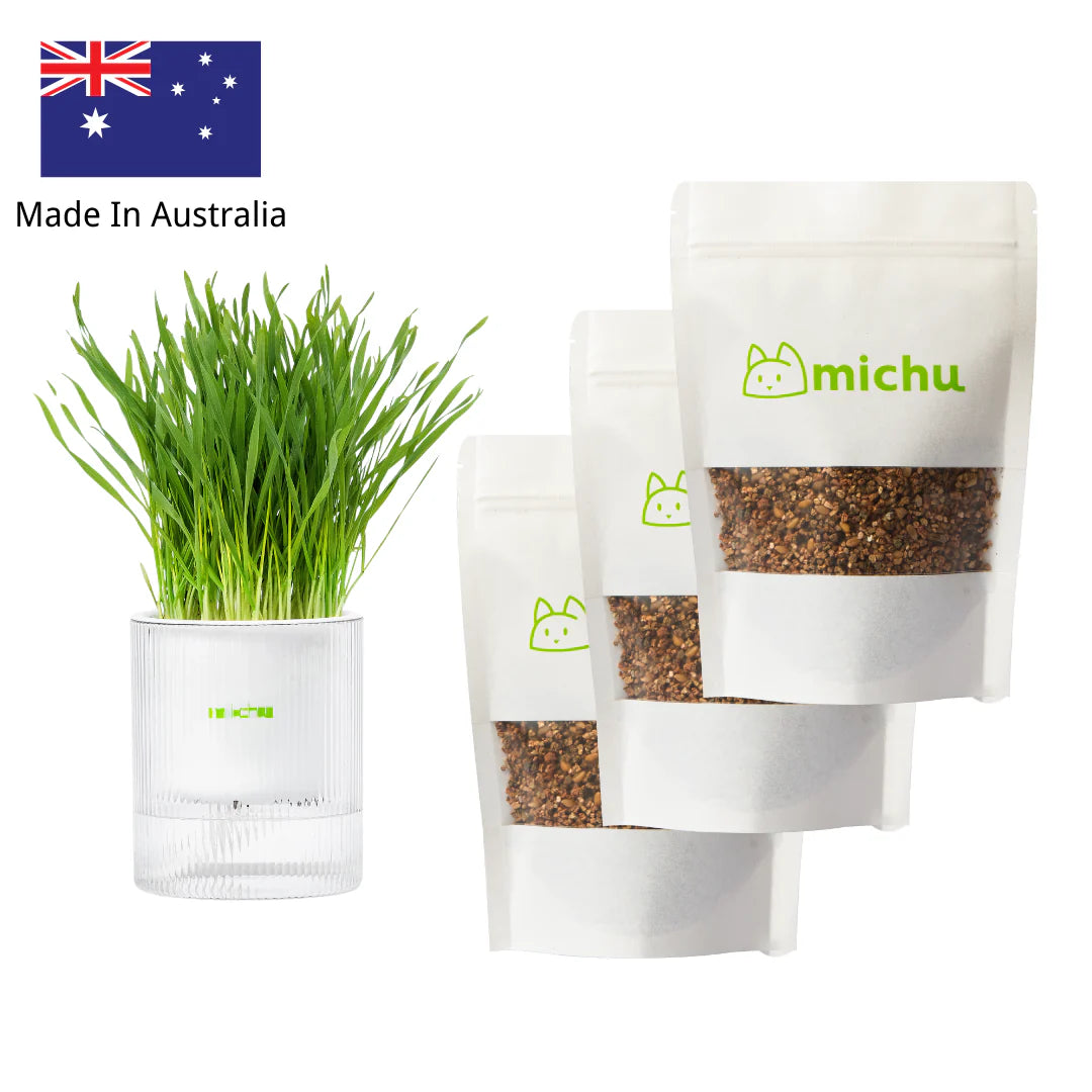 All-In-One Soil-Free Cat Grass Grow Kit with Australian Seed and Mulch