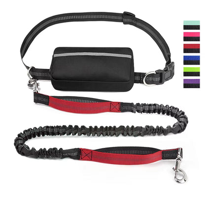  Real Nylon with Reflective Strips Dog Outdoor Training Leash Set