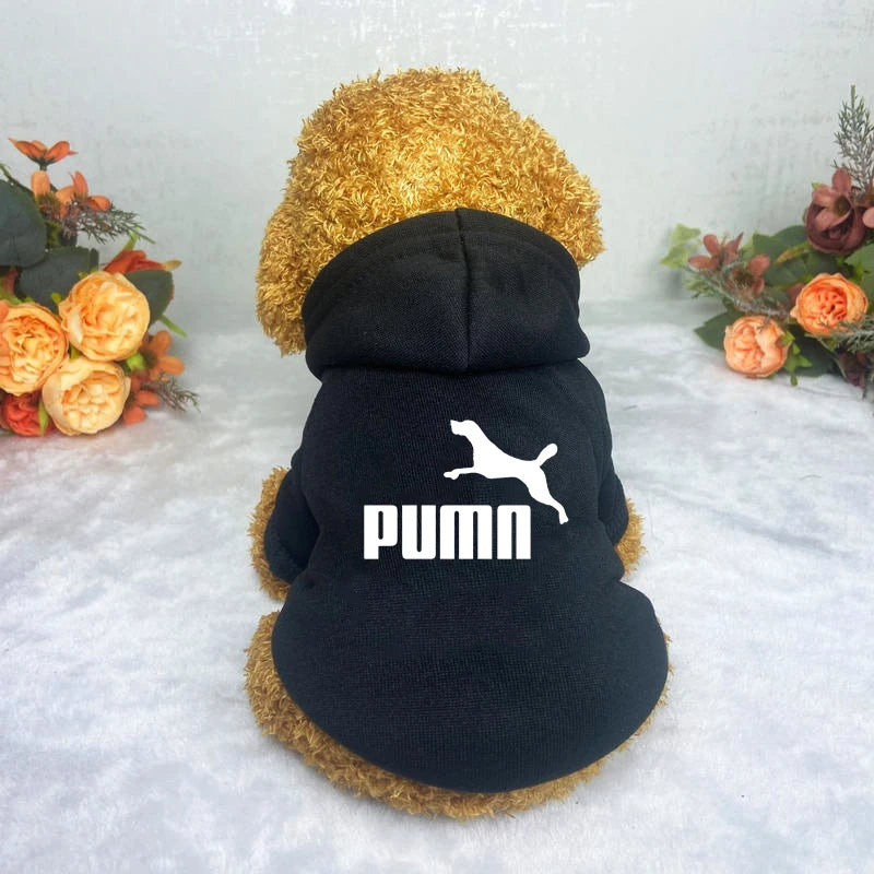 Casual Warm Popular Fashion Hoodie Pet Clothes  