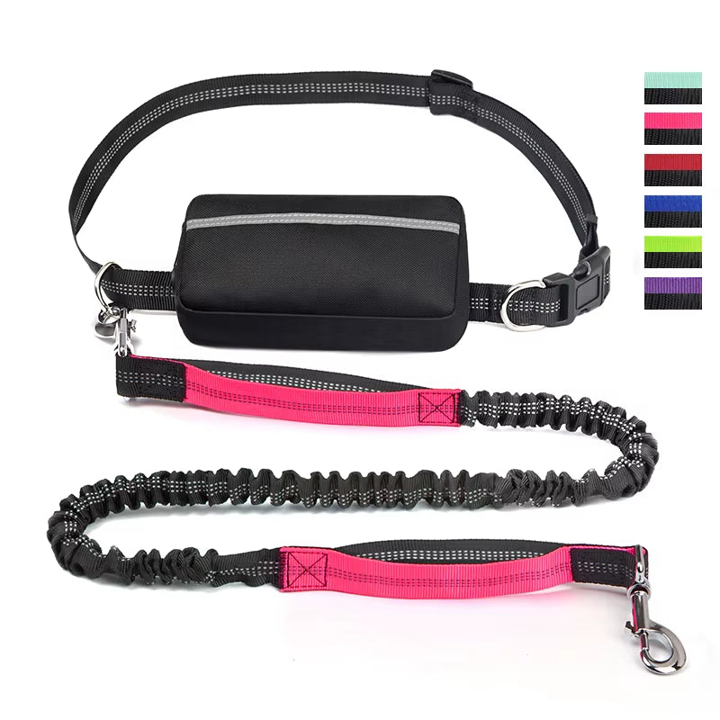  Real Nylon with Reflective Strips Dog Outdoor Training Leash Set