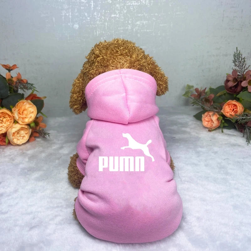 Casual Warm Popular Fashion Hoodie Pet Clothes  