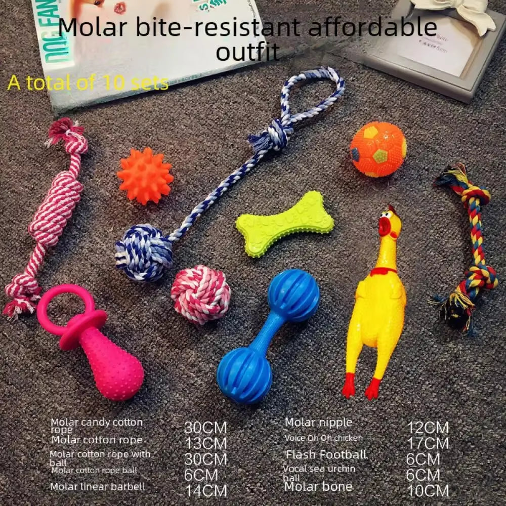 Plush Pet  Play Kit