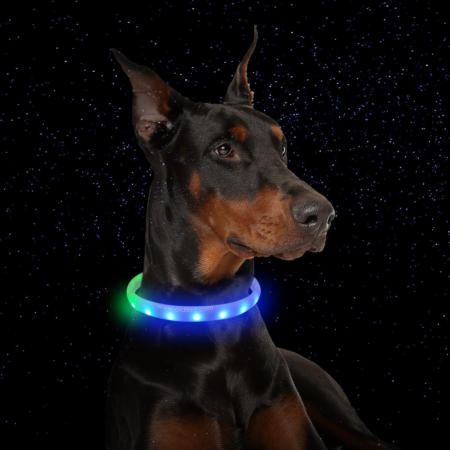 Anti-Lost Silicone Flash Collar 