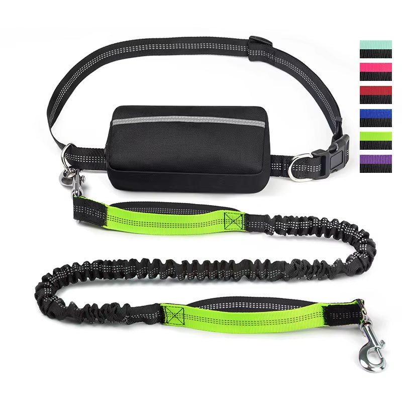  Real Nylon with Reflective Strips Dog Outdoor Training Leash Set