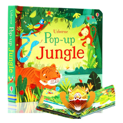 Usborne Pop-Up 3D Picture Book 