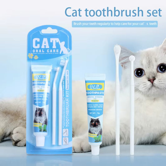 Cat Dental Kit 