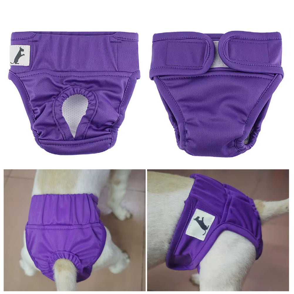 Pet Menstrual Pants 