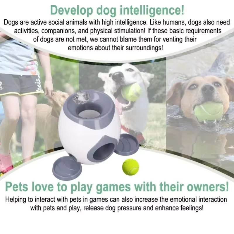 Pet Automatic Ball Launcher & Interactive Training Smart Feeder