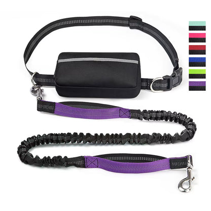  Real Nylon with Reflective Strips Dog Outdoor Training Leash Set