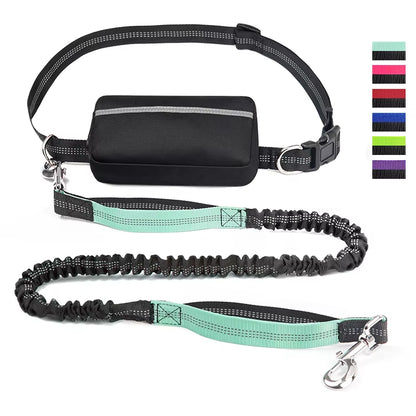  Real Nylon with Reflective Strips Dog Outdoor Training Leash Set