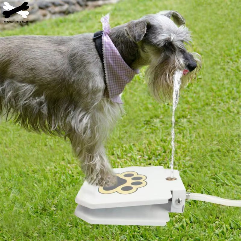 Outdoor Automatic  Step on Dog Water Fountain 