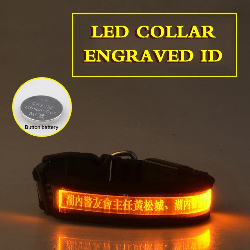 Personalized Pet Glow Collar 