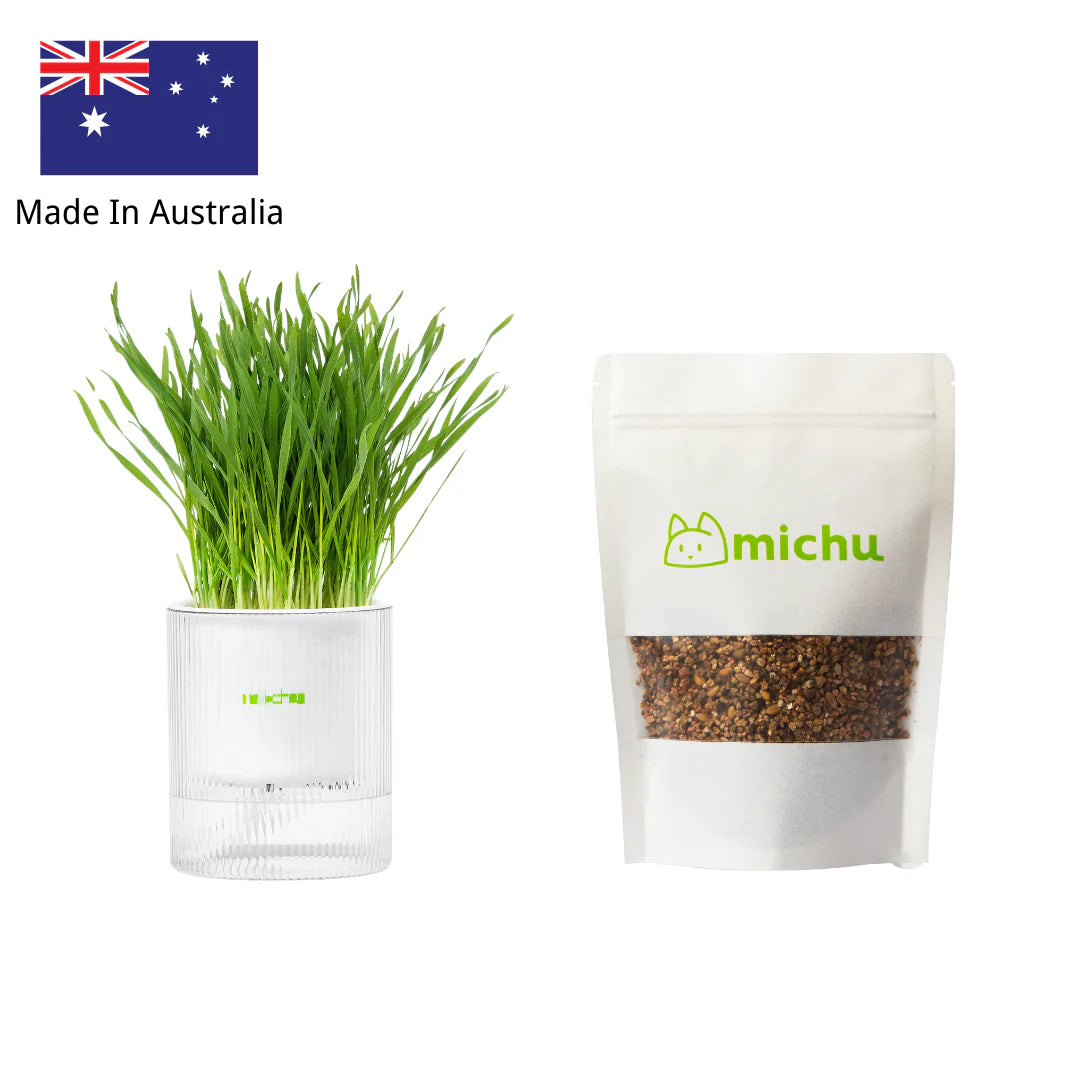 All-In-One Soil-Free Cat Grass Grow Kit with Australian Seed and Mulch