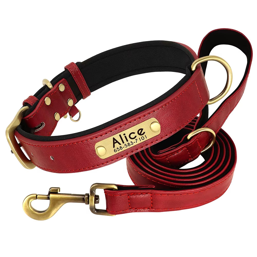 Customized Leather Soft Padded Dog Collar -Leash  with Free Engraved Nameplate