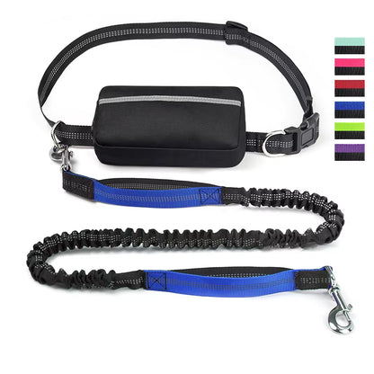  Real Nylon with Reflective Strips Dog Outdoor Training Leash Set