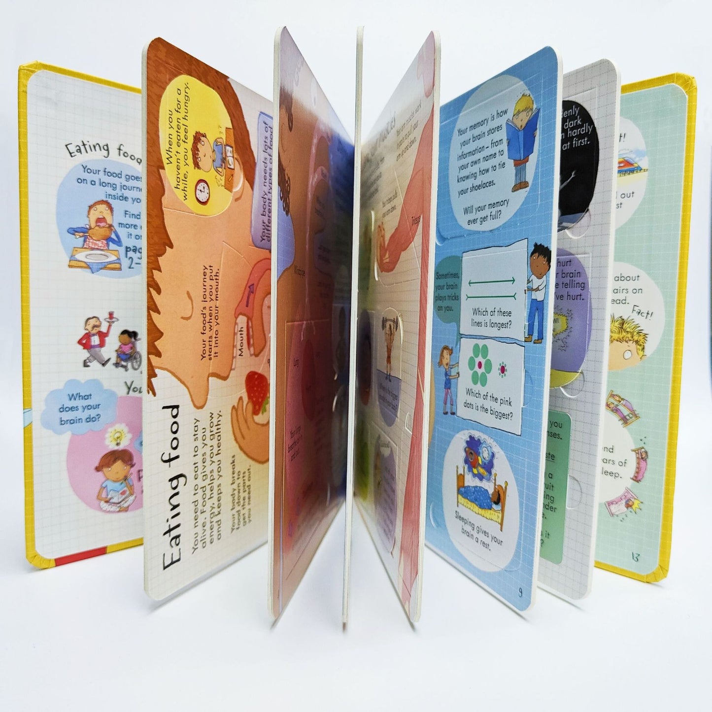 Children's Early Education Picture Books