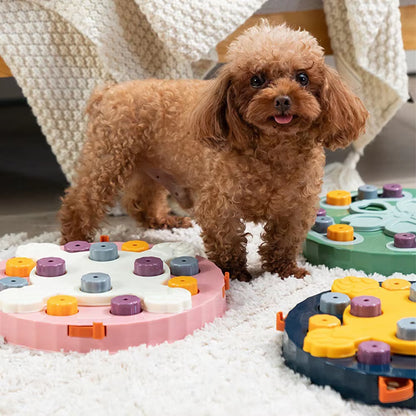 Pet  Interactive Puzzle  Food Dispenser 