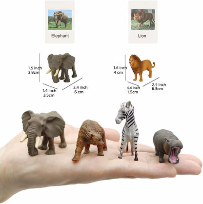 Montessori Animal Matching Card