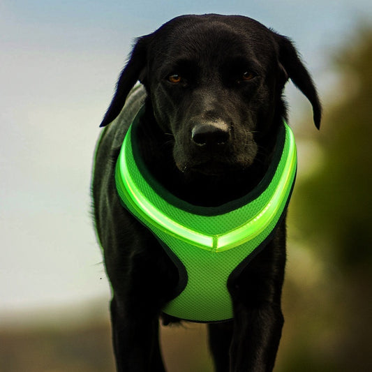  Reflective Harness Pet Vest