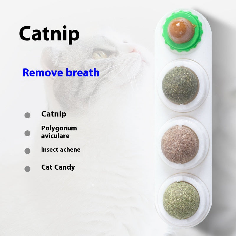 Cat Toy Snack