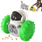 Tumbler Balance Car Pet  Training Toy