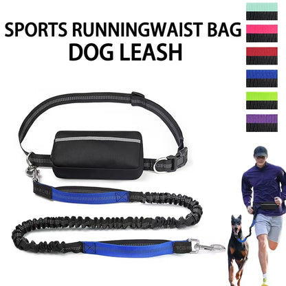  Real Nylon with Reflective Strips Dog Outdoor Training Leash Set