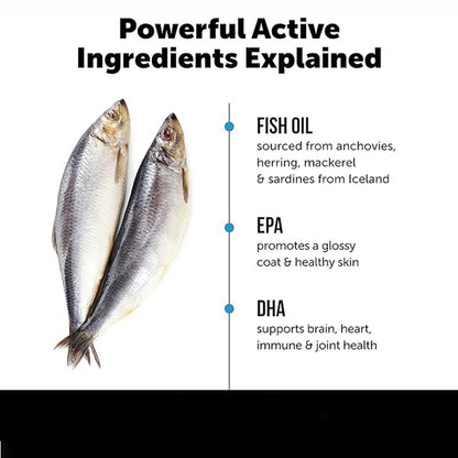 Pet Salmon Fish Oil
