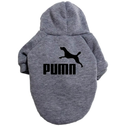 Casual Warm Popular Fashion Hoodie Pet Clothes  