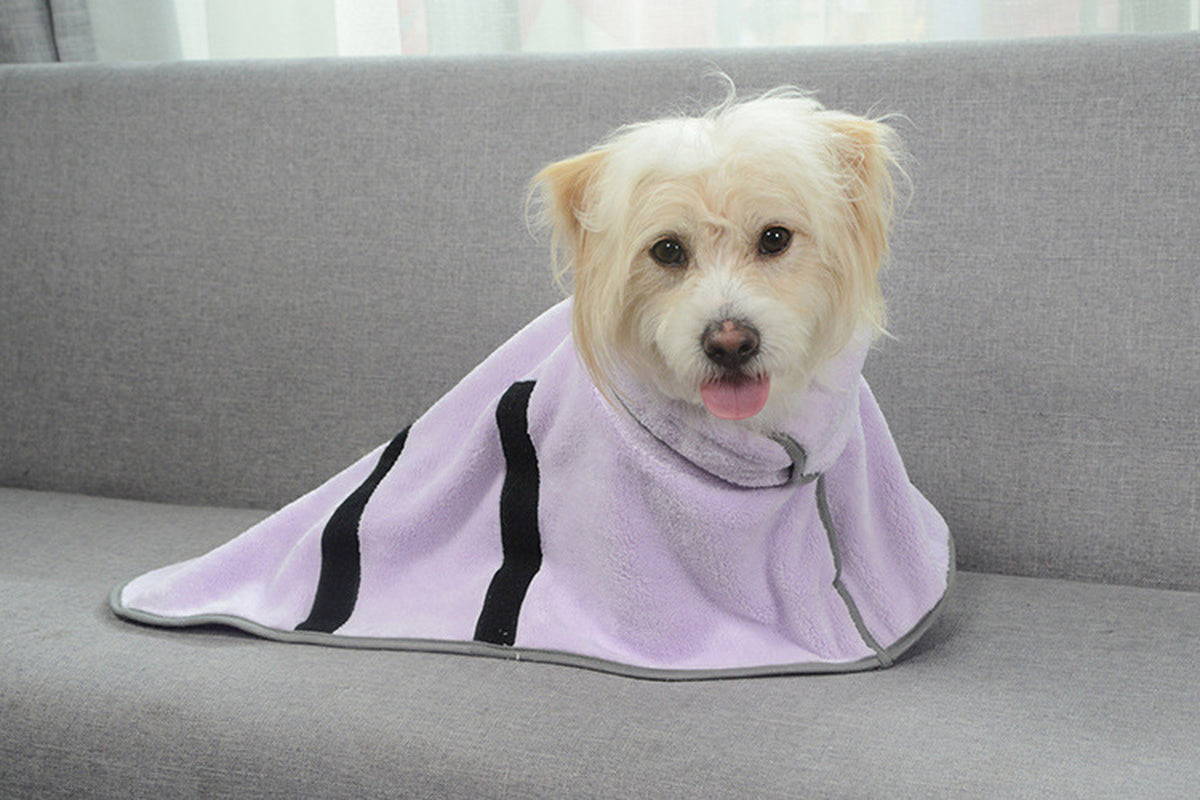 Quick-Drying Pet Absorbent Towel 