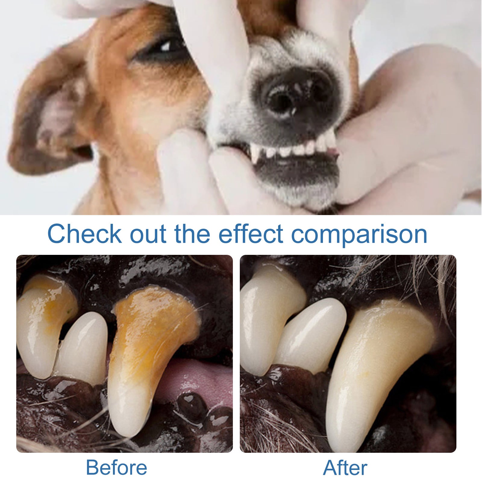 Pet Tartar Remover Spray