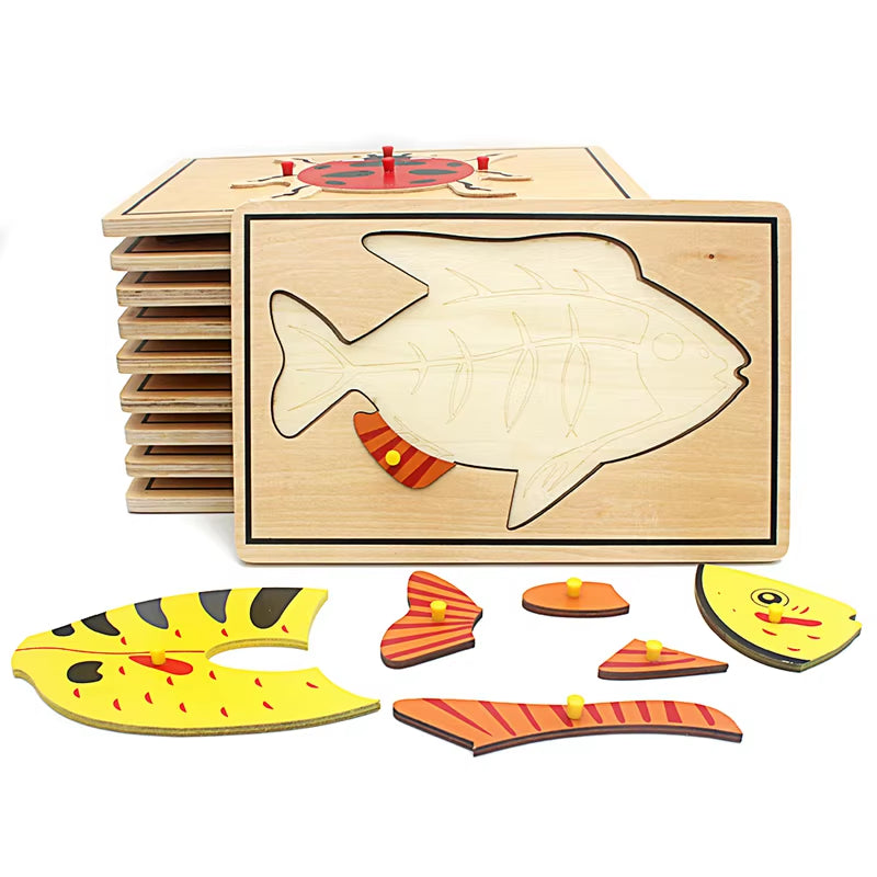 Montessori Children Biology Wooden Materials 