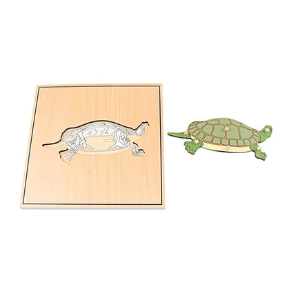 Montessori Children Biology Wooden Materials 