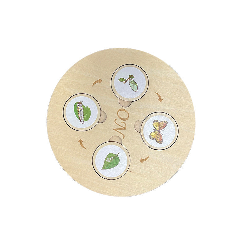 Children'S Cognitive Enlightenment Insect Animal Life Growth Cycle Educational Toys