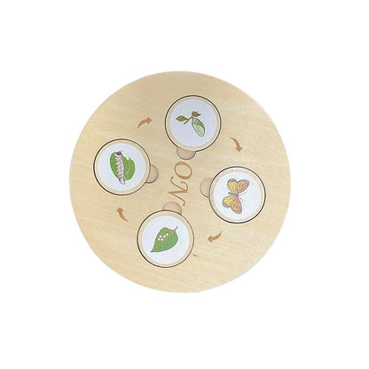 Children'S Cognitive Enlightenment Insect Animal Life Growth Cycle Educational Toys