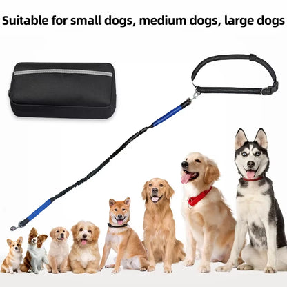  Real Nylon with Reflective Strips Dog Outdoor Training Leash Set